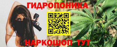 гашик Кулебаки