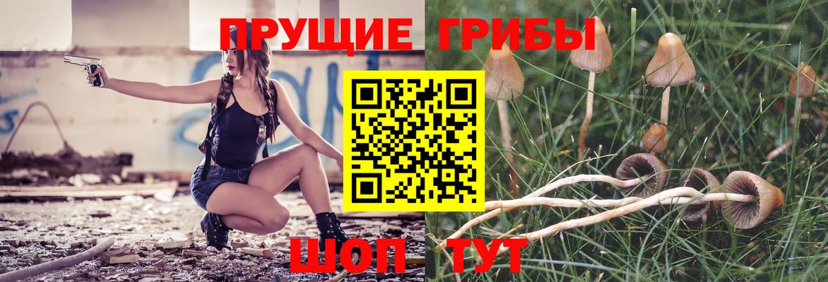 Галлюциногенные грибы ЛСД Свободный