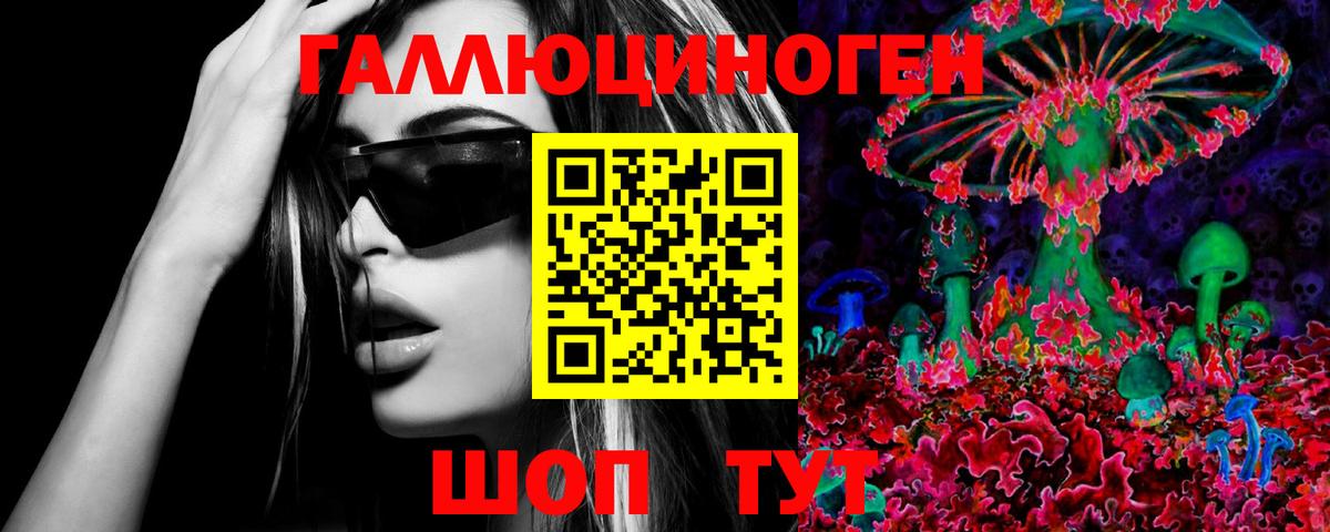 закладки  Галлюциногенные грибы Magic Shrooms  Вход с VPN  Свободный 